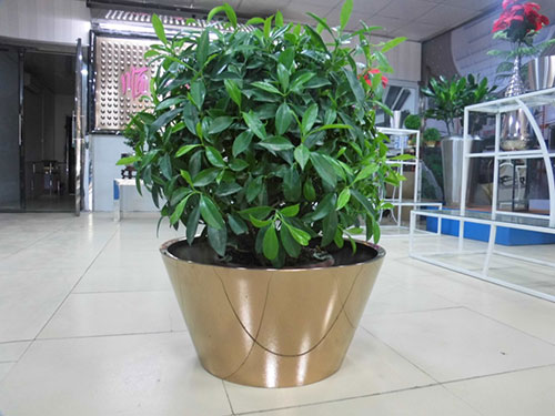 廣東汕頭不銹鋼花盆哪家做的好？